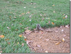 IMG_1422 IMG_1422