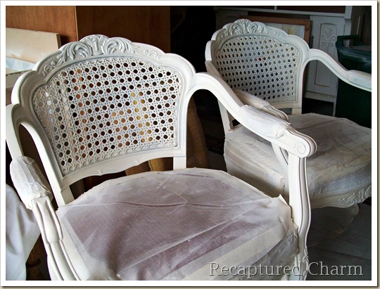 louis cane back chairs 021a