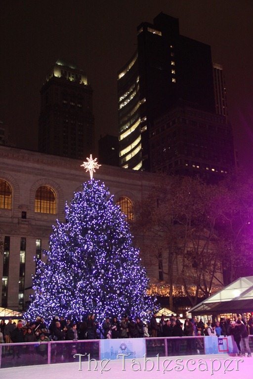 December NYC 070