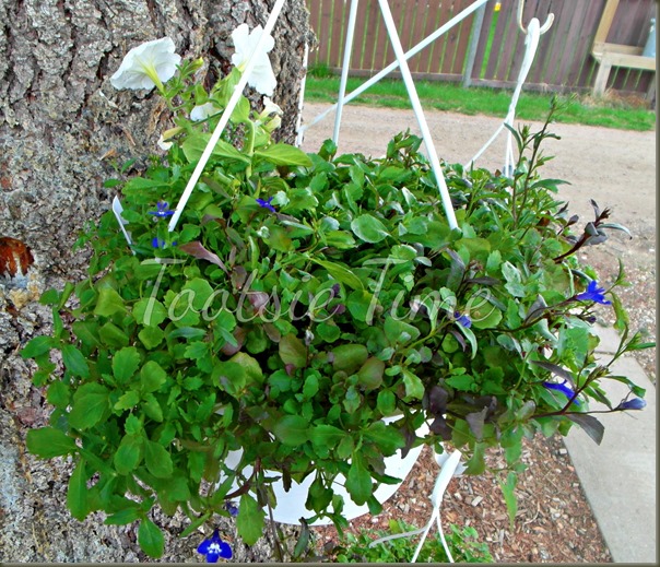 BeFunky_039.jpg BeFunky_039.jpg