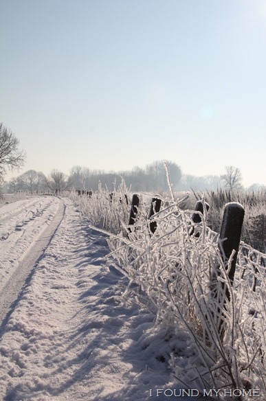 sneeuw Febr 2012 036 sneeuw Febr 2012 036