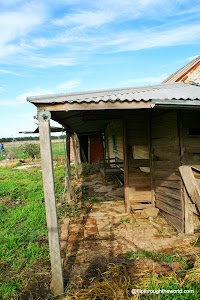 IMG_5004.JPG