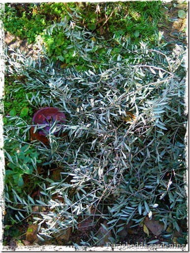 Foto 2 Foto 2