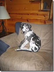 IMG_5579 IMG_5579