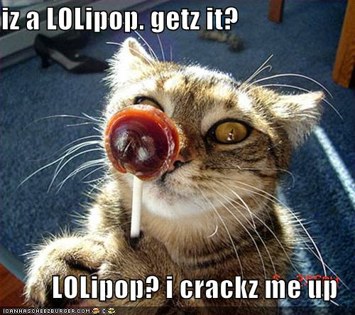 ANDROID LOLLIPOP, FUNNY PICS