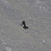 P1010760