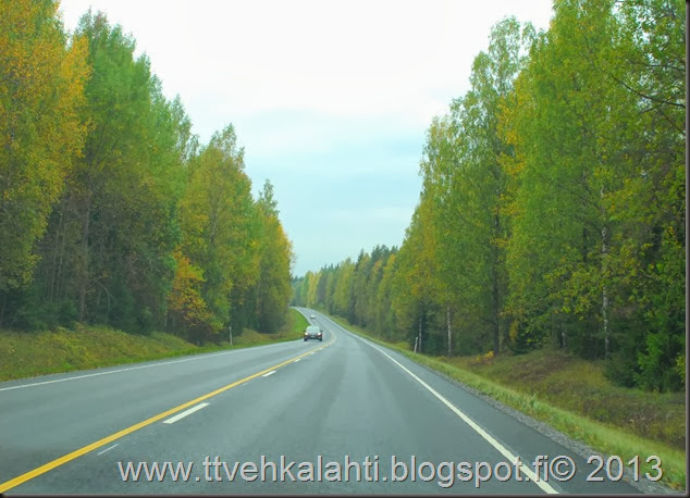 sienimetsällä 072 sienimetsällä 072