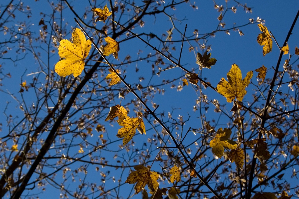 [DSC_8359%255B4%255D.jpg]