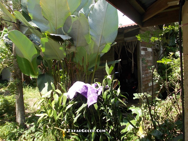 [DSCN11242.jpg]