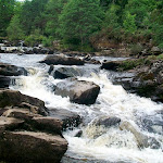 image33.jpg