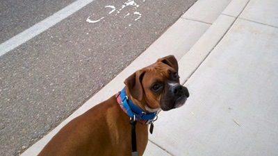 [2011-11-24_10-28-57_671%255B2%255D.jpg]