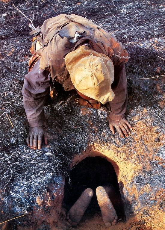 Catching an Anaconda by natural Superheroes