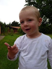 Theodor har fanget en frø &ndash; 25-jul-2011