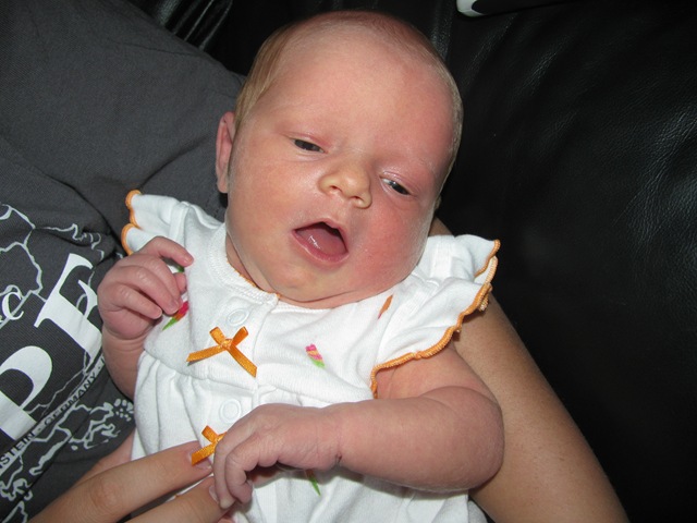 [IMG_3071%255B2%255D.jpg]