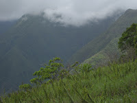 Waihee gorge.
