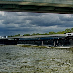 DSC_4126.jpg
