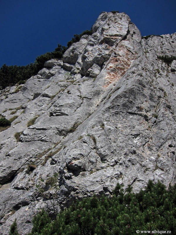 Traseul Izvor in Piatra Craiului