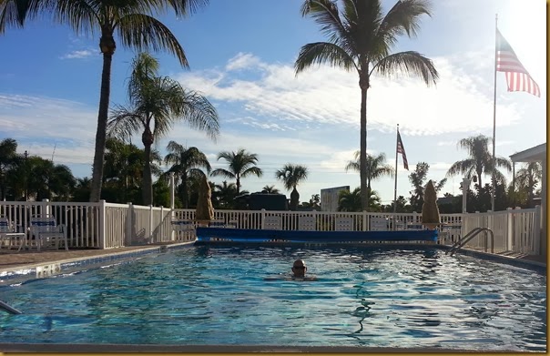 vic in holiday cove pool