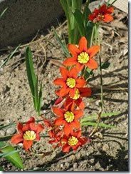 IMG_0035 IMG_0035