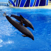Florida 034.jpg