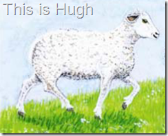 Huch the sheep Hugh