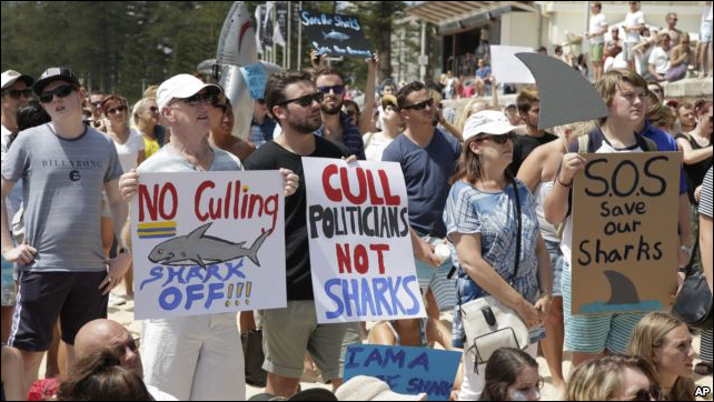 People hold placards during a protest against the Western Australia's state government's shark killing policy on Manly beach in Sydney, Australia, 1 February 2014. Photo: AP