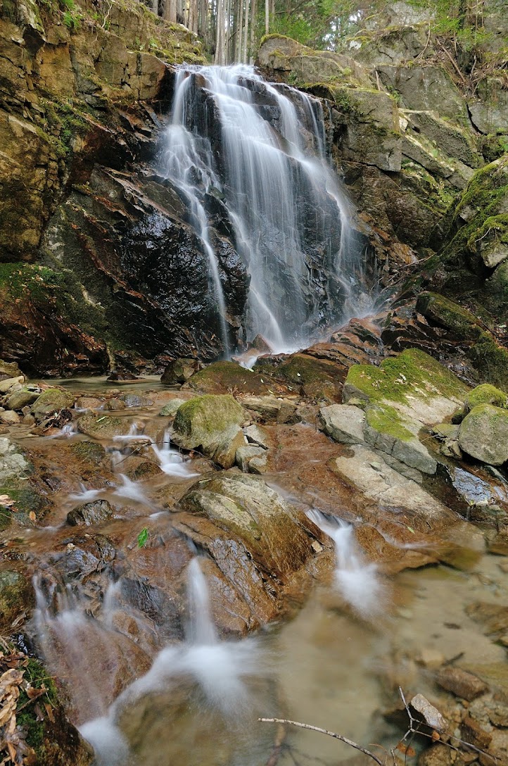 魚留の滝