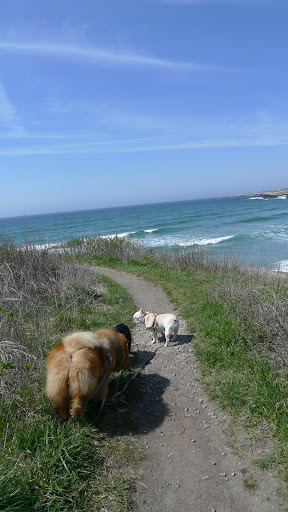 Right on, G.K.!  What a great idea!  Cliff Walk is one of Newport's most popular attractions and I can already see why.