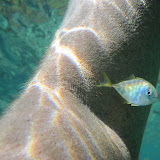 IMG_0743.JPG
