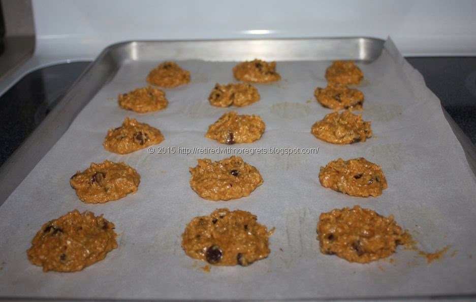 [Coconut%2520Chocolate%2520Chip%2520Cookies%2520-%2520ready%2520for%2520oven%255B14%255D.jpg]
