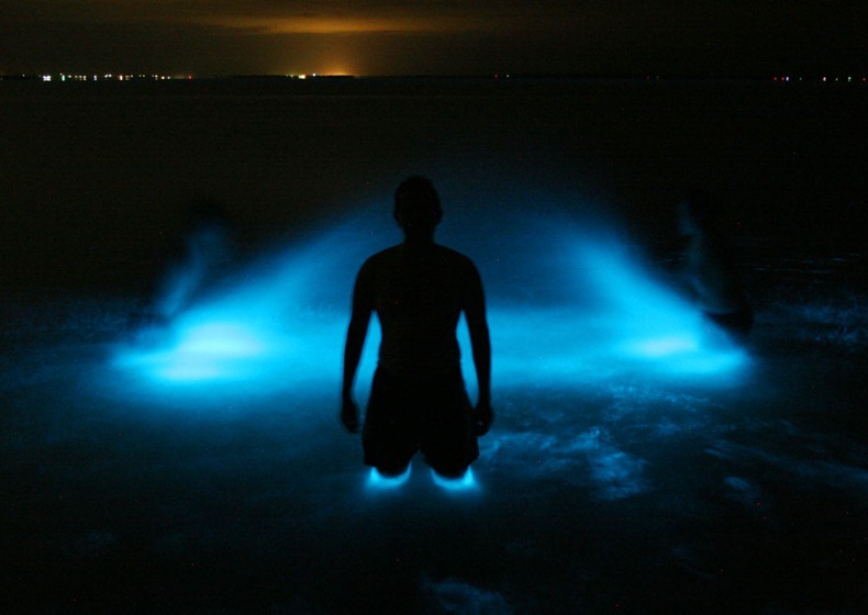 Hồ Gippsland (Úc) với làn nước phát ánh sáng xanh kỳ ảo Bioluminescence2%25255B3%25255D