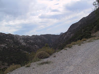 IMG_5003.JPG