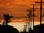 IMG_7732.JPG