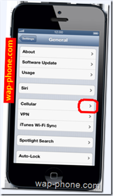  APN Settings for  iPhone 5  Dobson Cellular One  United states | GPRS|Internet|WAP| MMS | 3G |Manual Internet