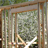 Putting up walls (straw bale and frame)