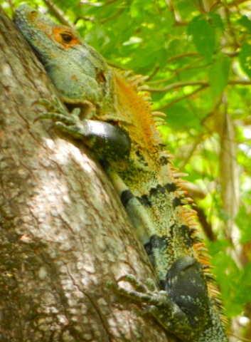 DSCN9869.jpg DSCN9869