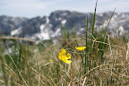 DSC03439.JPG
