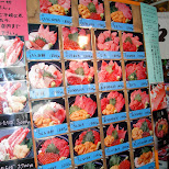 tsukiji fish market in Tokyo, Tokyo, Japan