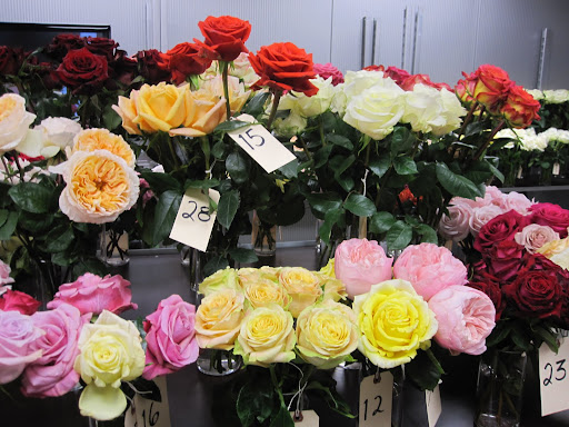 These roses on the back table are numbered and you are able to rate the roses and tell the rose distributors what you think about their flowers.