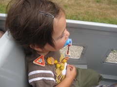 IMG_8019 IMG_8019