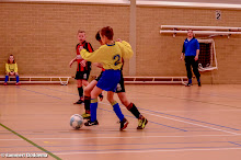 20140201 - WVV E2 - ZAALCOMPETITIE - 008.jpg