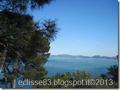 IMG_0181 IMG_0181