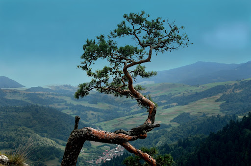 Krak%25C3%25B3w-Pieniny%2520211.jpg