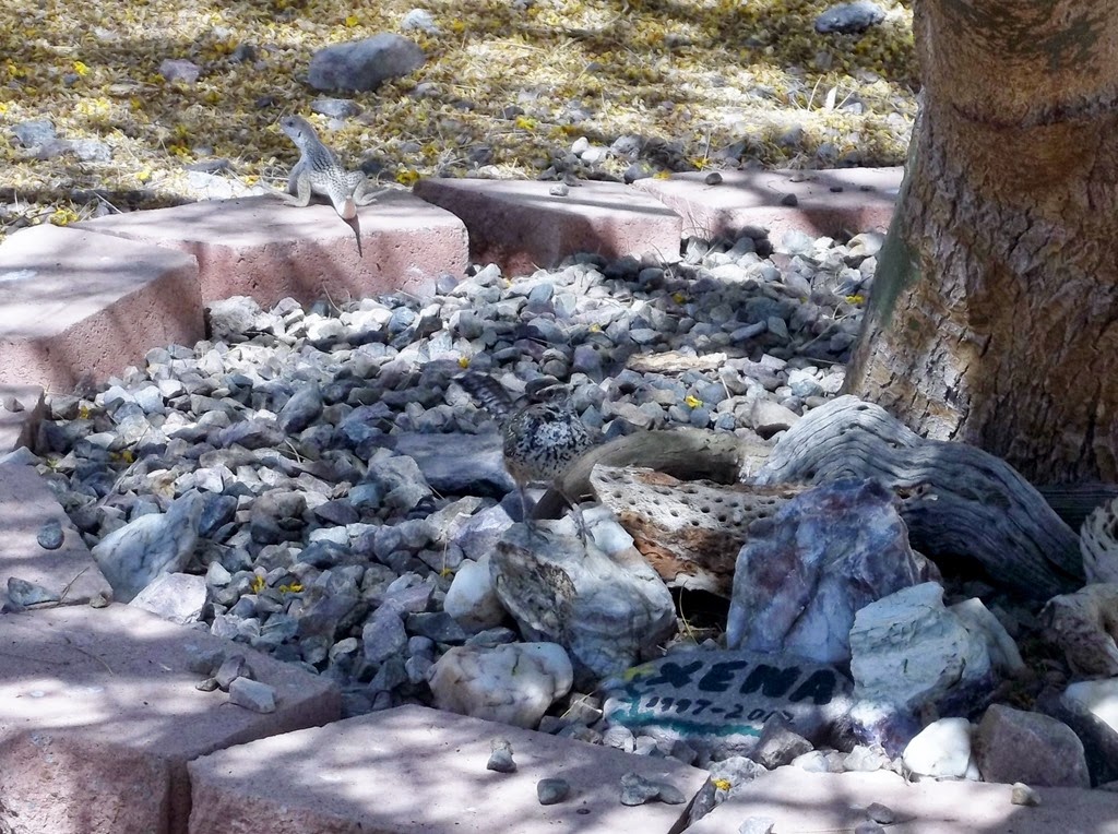 [100_0961%255B4%255D.jpg]