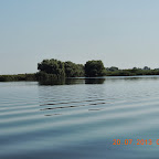 DSCN4439.JPG