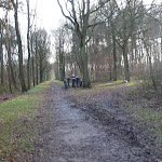 DSC08814.jpg