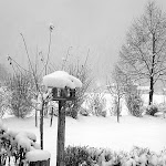 Der Winter kehrt zurück ins Zillertal - Photo 5