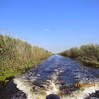 IMG_5723.JPG