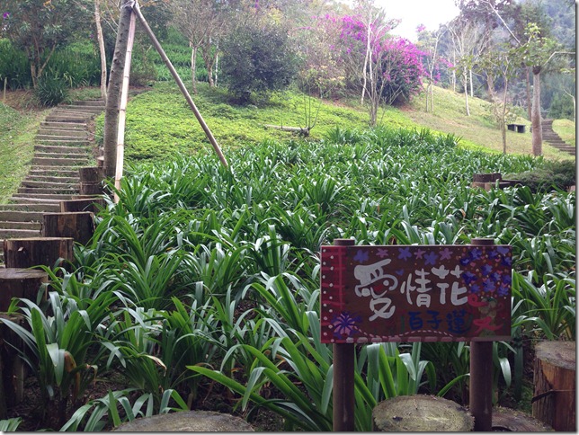 Jane Tan Informative Travel Blog Taiwan 8 Days Trip Day6 Part