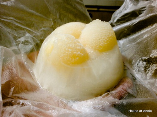 [Pineapple%2520Rambutan%2520Ice%255B2%255D.jpg]
